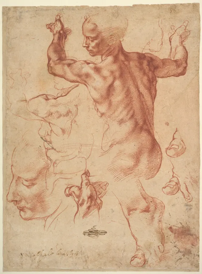 A red chalk sheet of studies: a muscular back and shoulder turned over one arm, with smaller studies of a head, a hand and a foot around it.